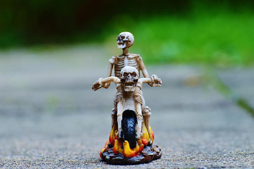 motociclista, esqueleto, arrepiante, esquisito, decoração, assustador, osso, Horror, caveira e ossos cruzados, crânio, osso do crânio