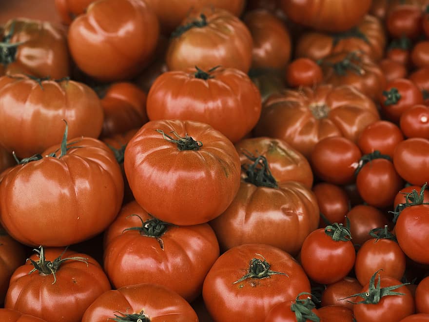 tomater, vegetabiliska, marknadsföra, röda tomater, organisk, producera, frukt, färsk, rå, bås, vitaminer