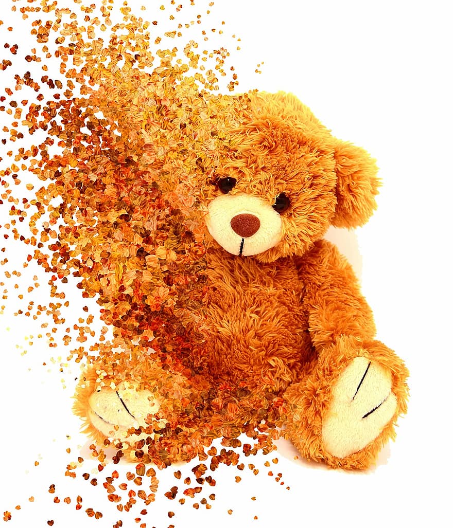 urso Teddy, dispersão, brinquedo, animal de pelúcia, peluche, escasso