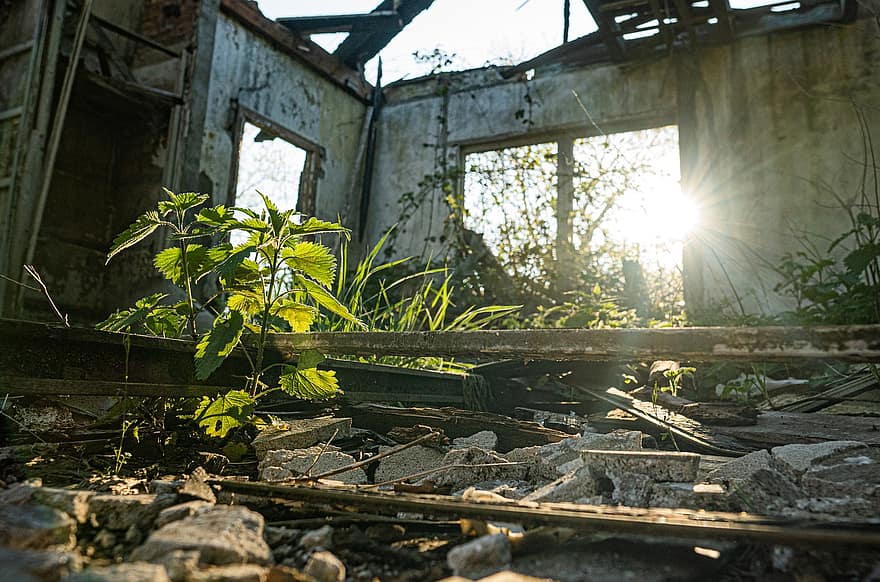 casa abandonada, edificio en ruinas, escombros, edificio, luz del sol, resplandor del sol, luz, antiguo, abandonado, arruinado, arquitectura