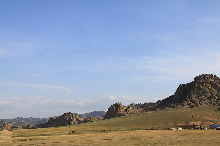 deserto, campo, rural, Prado, Mongólia, pastando, panorama, grama, montanha, verão, azul