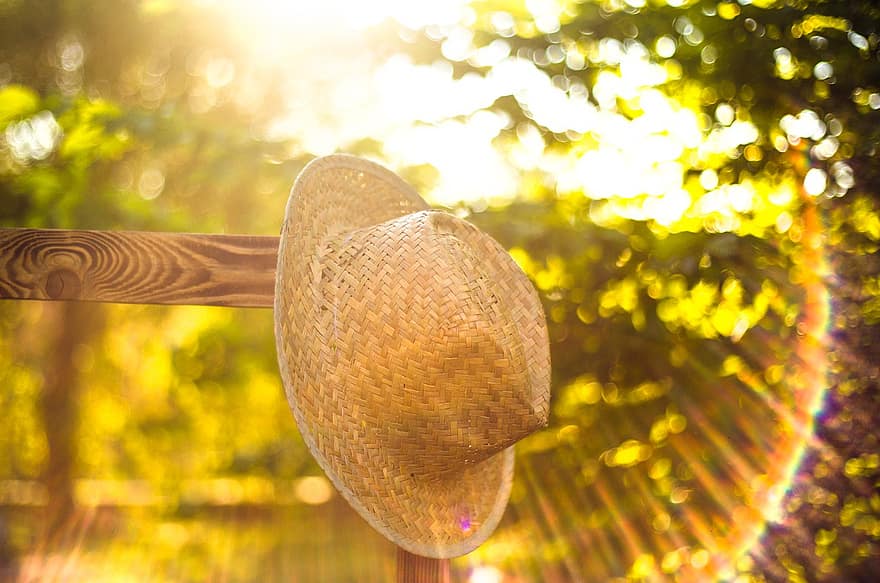 letní, čepice, venkovní, Příroda, teplo, slunce, západ slunce, slaměný klobouk