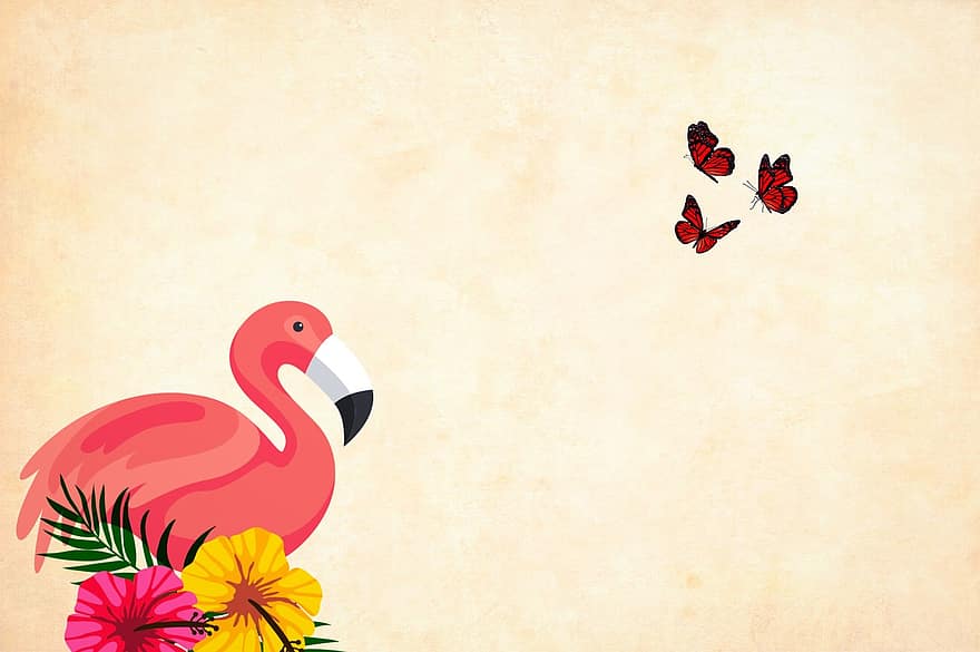 flamingó, virág, háttér, vízfestmény, virágos, határ, melegágyi üvegezett fedélkeret, tavaszi, szüret, kártya, Művészet