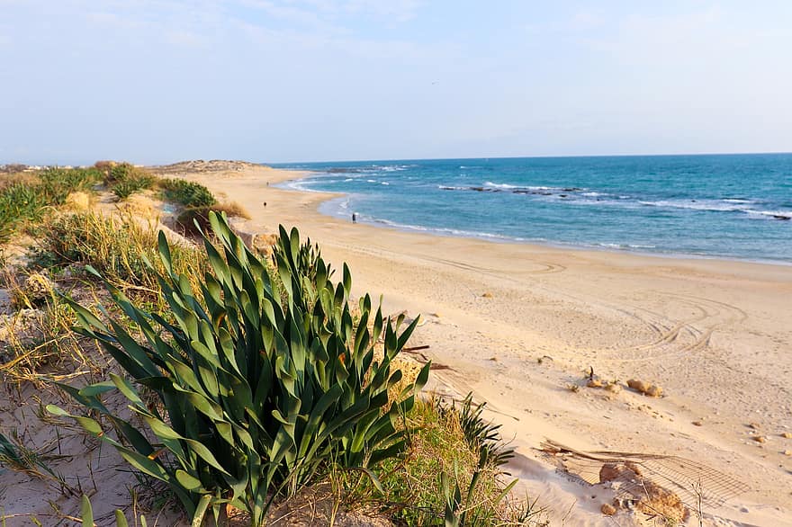 hav, strand, Strand, strandlinje, havsstrand, kust, kustlinje, horisont, Medelhavskusten, Caesarea Beach, Israel