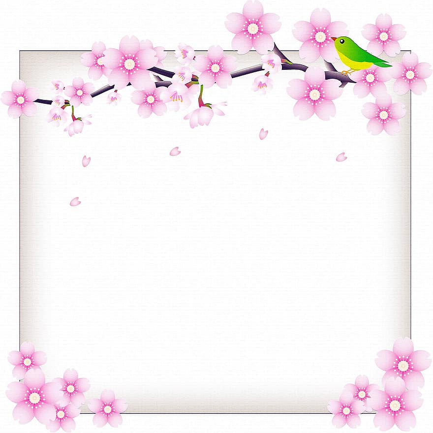 Sakura digitalt papir, Kirsebær blomster, lyserød, japansk, sakura, blomster, forår, flor, natur, afdeling, kirsebær