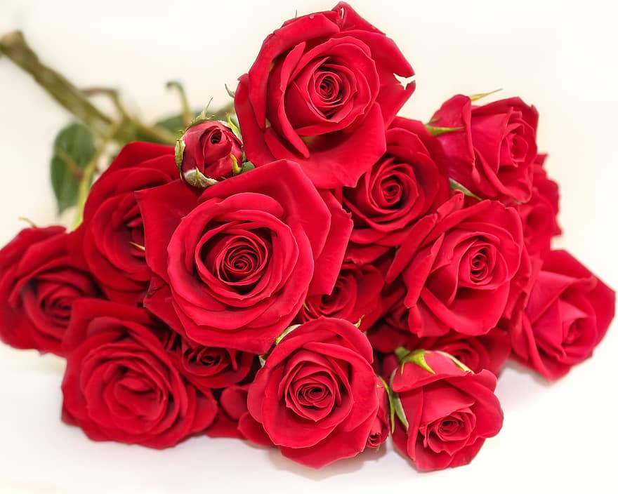 roser, blomster, buket, røde roser, røde blomster, flor, dekorative, romantik, kronblad, blomst, friskhed