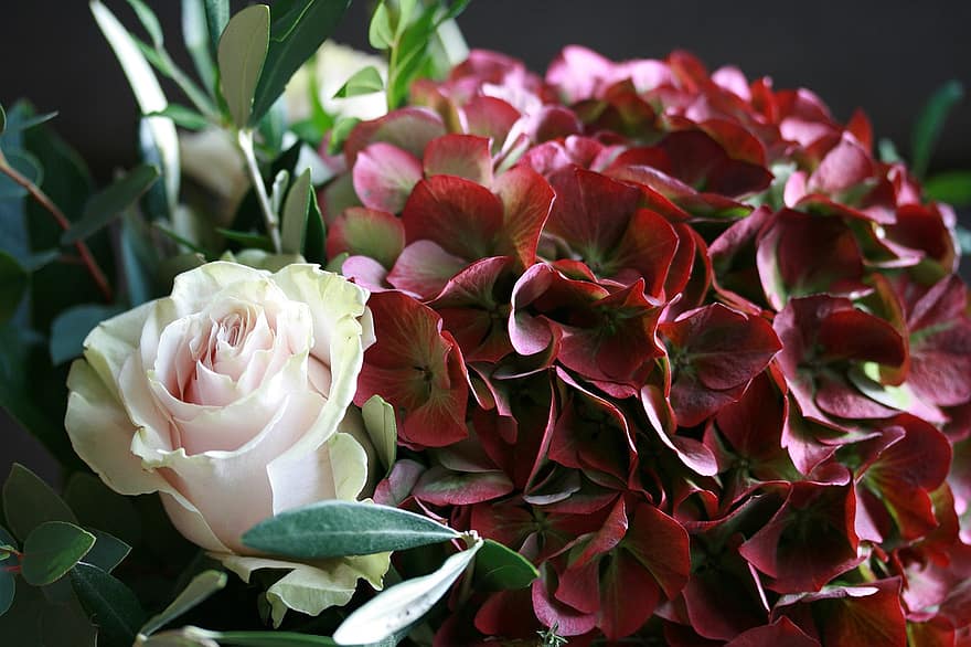 Flowers, Bouquet, Petals, Fresh, Floral Arrangement, Floral Decorations