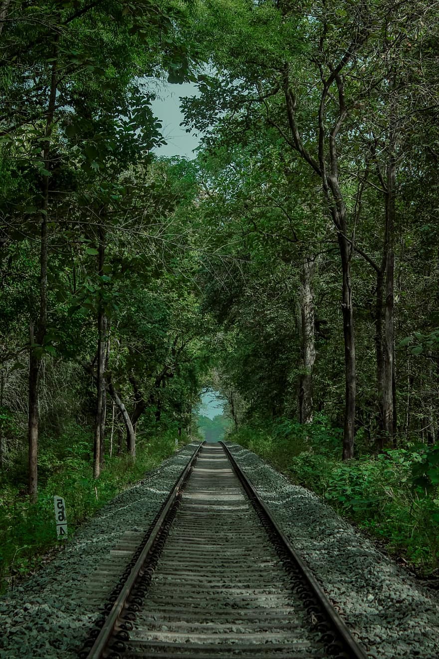 junaradat, rautatie, Puut, metsä, luonto, kerala