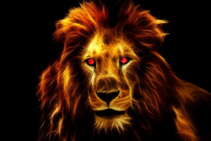 leeuw, koning, Afrika, dier