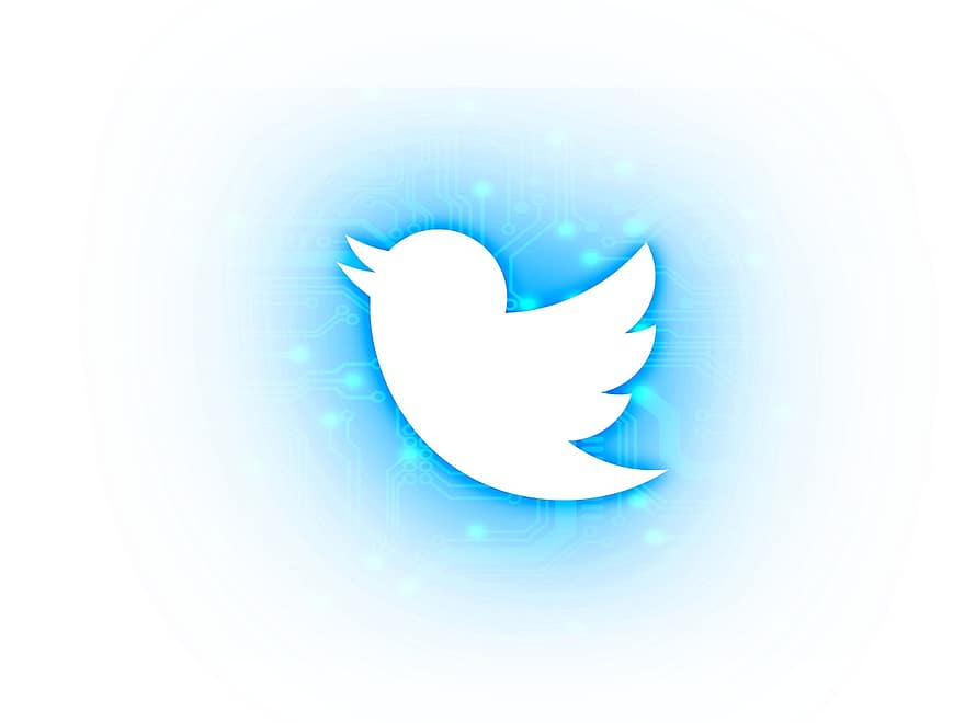 pássaro, tweet, Twitter, mídia social, o circuito, social, Internet, comunicação