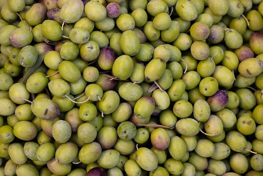 măsline, măsline verzi, proaspete de măsline, fructe, fructe proaspete