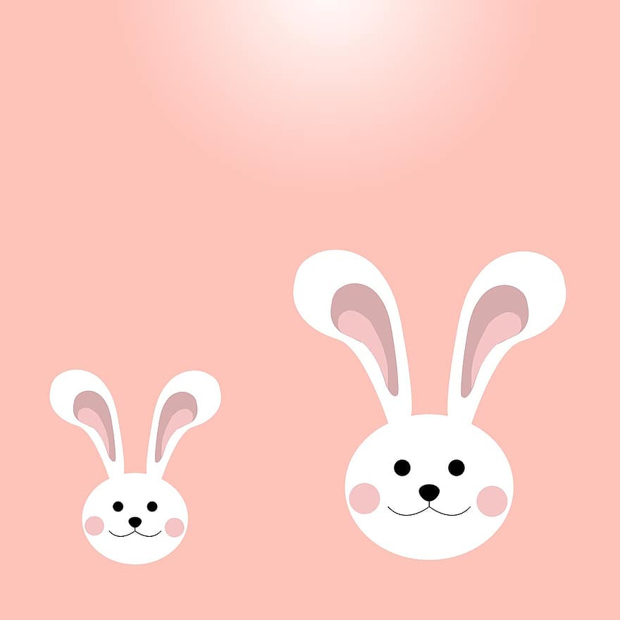 bunny, kanin, søt