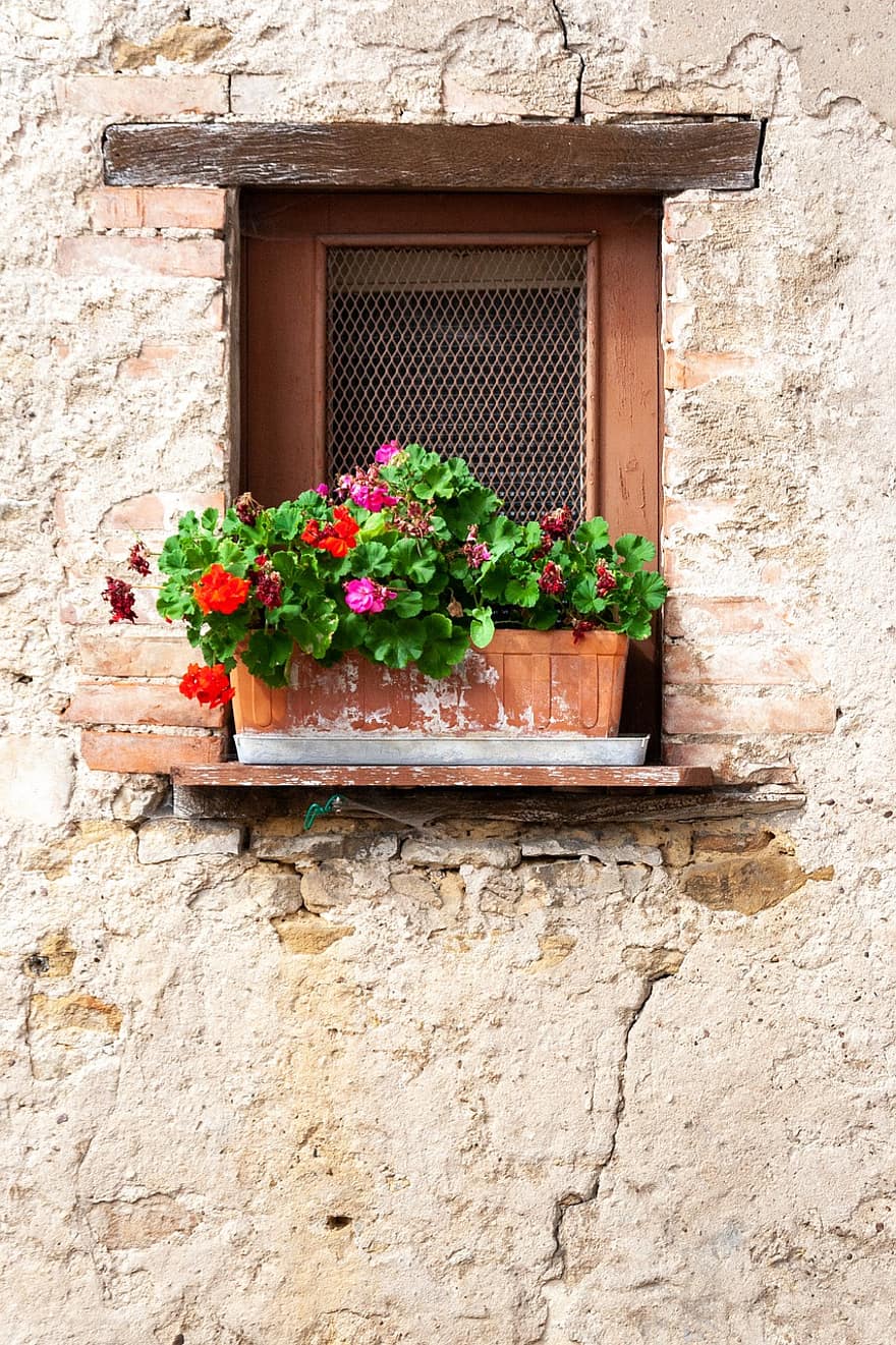 las flores, ventana, viaje, decoración