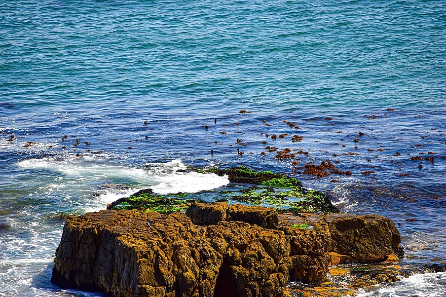 Ocean, Sea, Rocks, Waves, Nature, Hermanus, South Africa