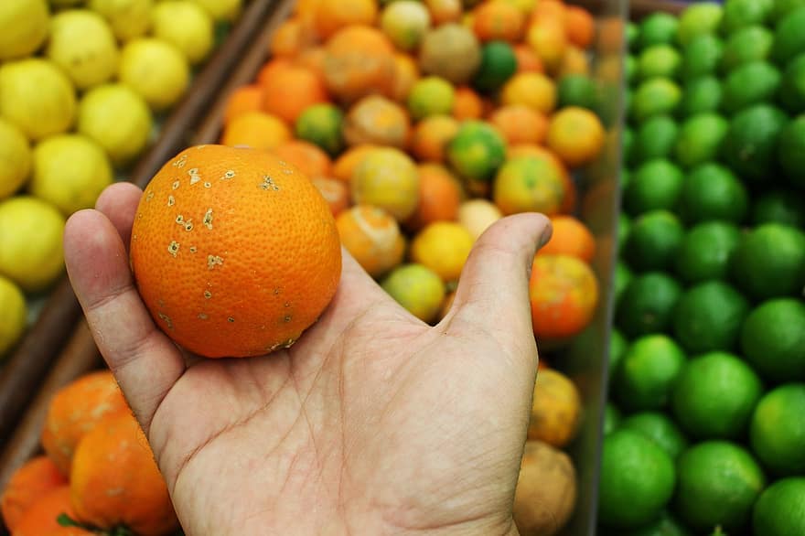 оранжев, портокали, Оранжевият фон, Портокали фон, плодове, цитрусов, храна, то, прясно, сочен, органичен
