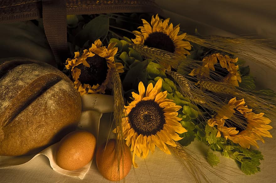 brød, solsikke, blomster, æg, mad, ernæring, organisk, rug, serviet, gul, baggrunde