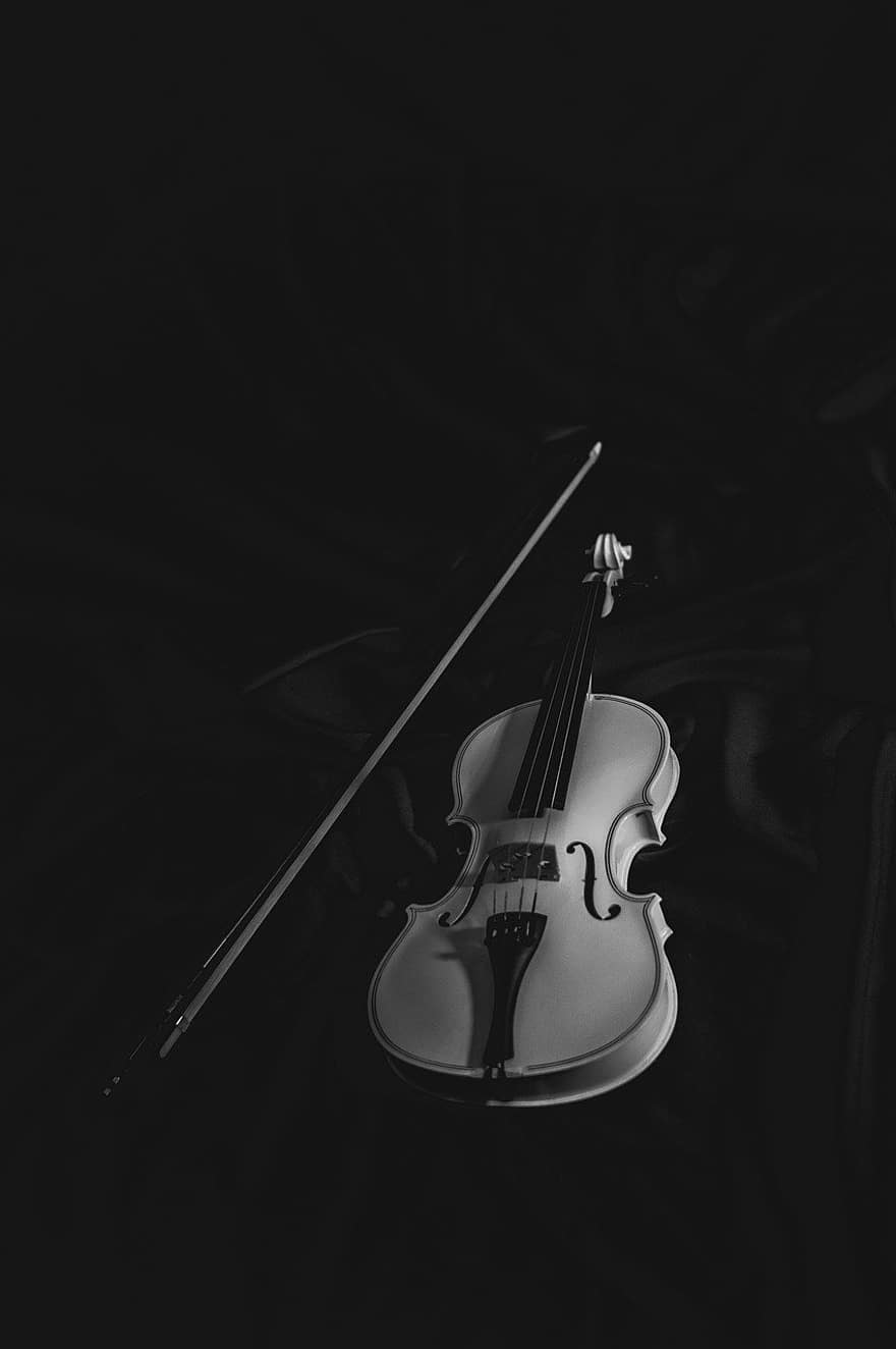 Violin, Bow, Tool, Music, Gloomily, musical instrument, wood, close-up, string, musician, single object