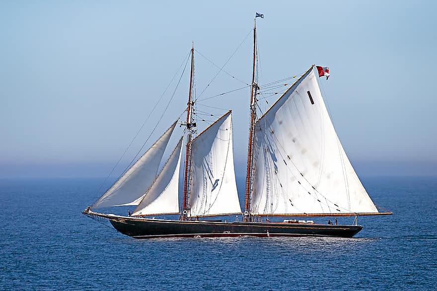 Bluenose, navă, mare, barca de navigat, pahar înalt pentru bere, Nava de curse, vas de pescuit, Nova Scotia, navigație, barcă cu pânze, navă nautică
