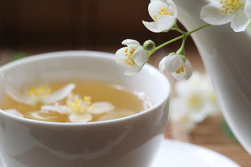 ital, tea, friss, csésze, jázmin, egészséges, gyógynövény, virág, közelkép, frissesség, virágszirom