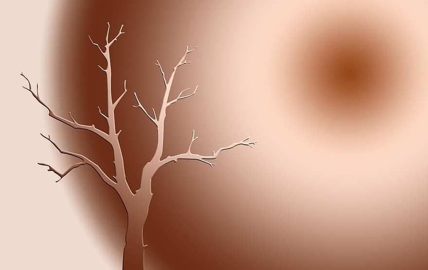 naturalesa, sol de l'arbre, marró, retroiluminació