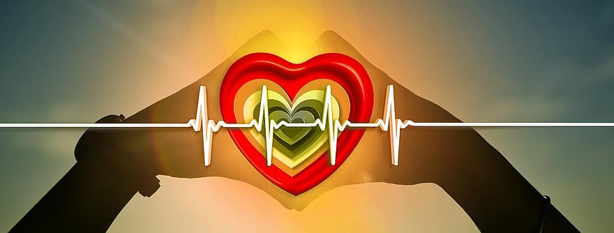 cœur, santé, impulsion, rythme cardiaque, protection, se soucier, enquête, médical
