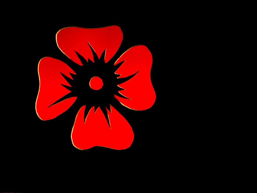 λουλούδι, το κόκκινο, περίγραμμα, περιγράφει