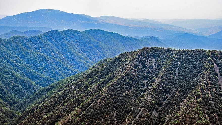 Mountains, Forest, Trees, Mountain Range, Nature, Landscape, Scenic, Scenery, Wilderness, Troodos, mountain