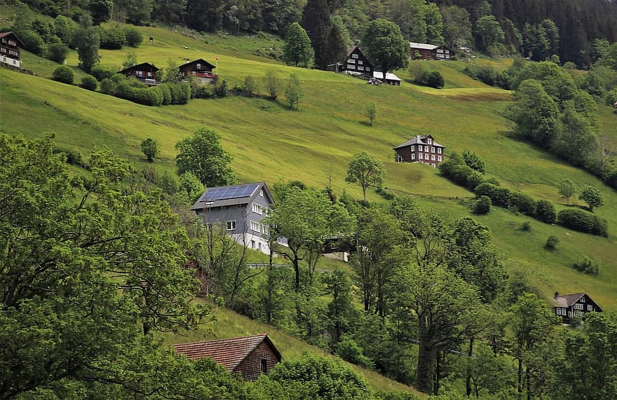 collina, prati, cabina, Cottage, ripidamente, alpino, villaggio, Svizzera, i campi, pascoli, panorama