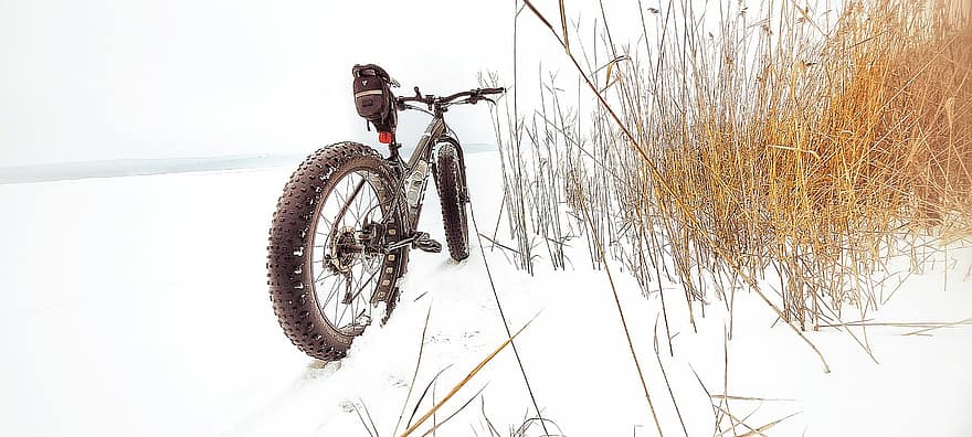 rower, śnieg, zimowy, fatbike, trawa, suszona trawa, mróz, zimno, jezioro