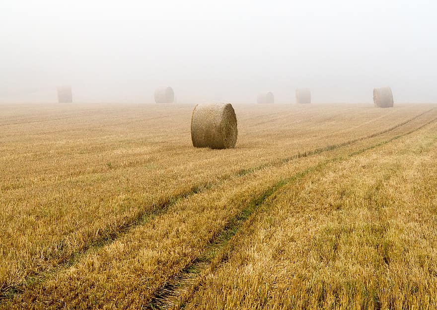 Straw Bales, Round Bales, Field, Cereals, Harvest, Fog, Harvested, Straw, Agriculture