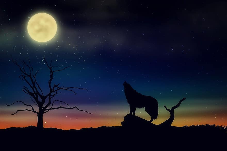 Luna, lobo, cielo estrellado, Luna llena, paisaje, árbol muerto, iluminación, aullido, Iniciar sesión, siluetas, luz de la luna