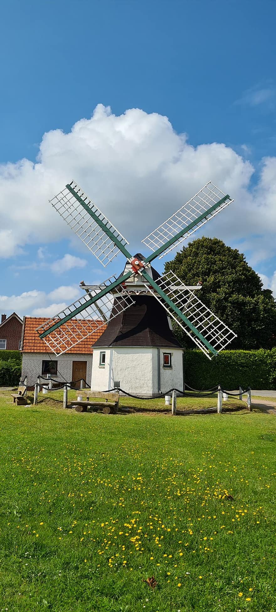 Windmühle, holländische Windmühle, Aurich Tannenhausen, Niedersachsen, Gebäude, historisch, Monument, Wiese, Feld, Park, draußen