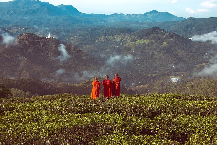 Monks, Buddhist, Buddhism, Religion, Culture, Worship, Red, Tradition, Sight, View, Scene