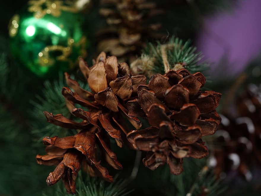 cono de pino, Navidad, decoración, ornamento