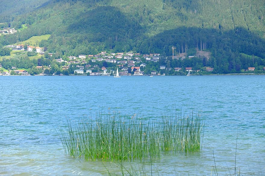 Lac, alpin, eau, Allemagne, la nature