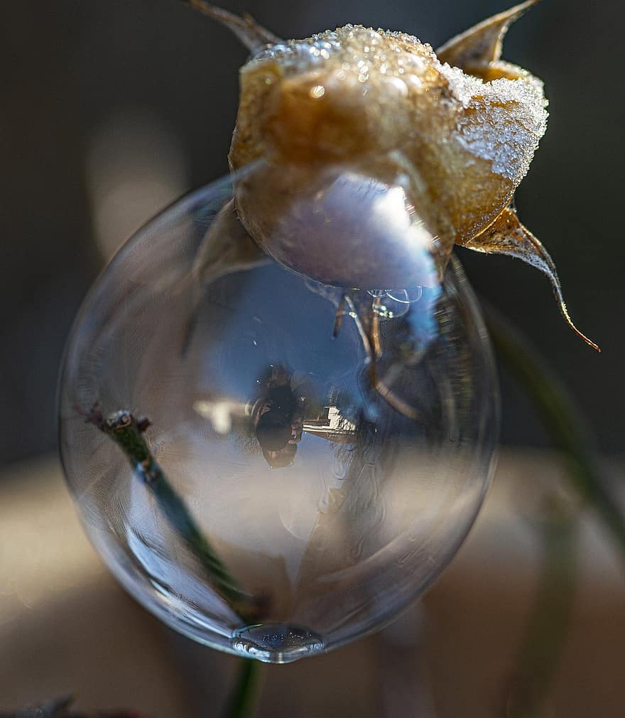 мыльный пузырь, отражение, природа, морозный, зима