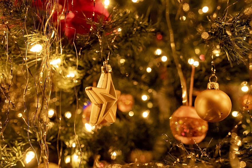 joulukuusi, loma-, kausi, joulu, ornamentti, koriste, juhla, puu, joulukoristeet, joulukoriste, valaistu