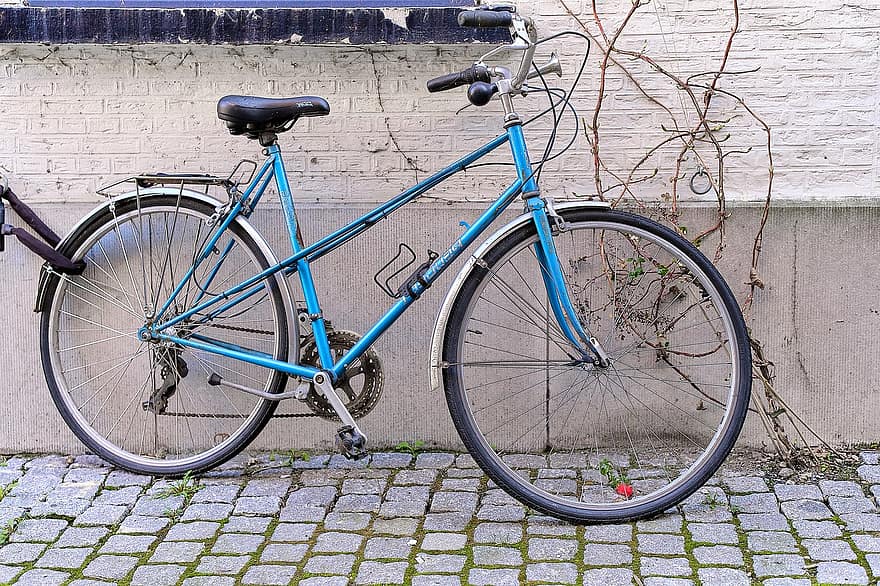 Bicycle, Ride, Activity, Wheels, Bike, Cycling, Urban, Blue, transportation, wheel, cycle