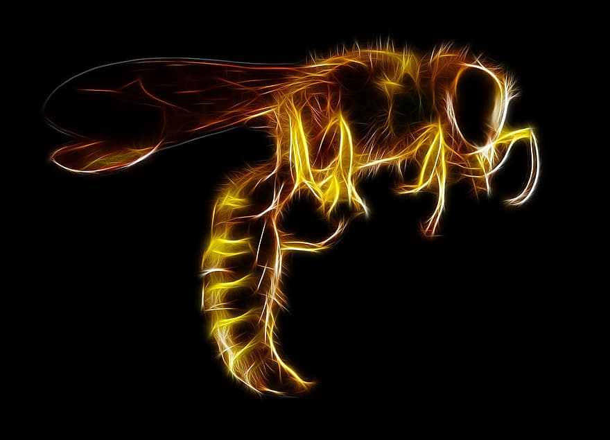 vespa, insetto, puntura, animale, natura, giallo, nero