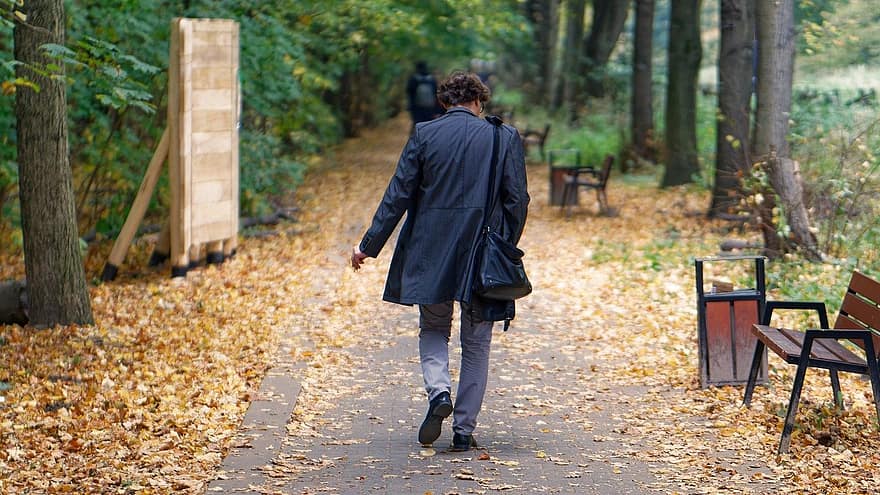 hombre, cigarrillo, caminar, callejón, arboles, parque, otoño, hojas