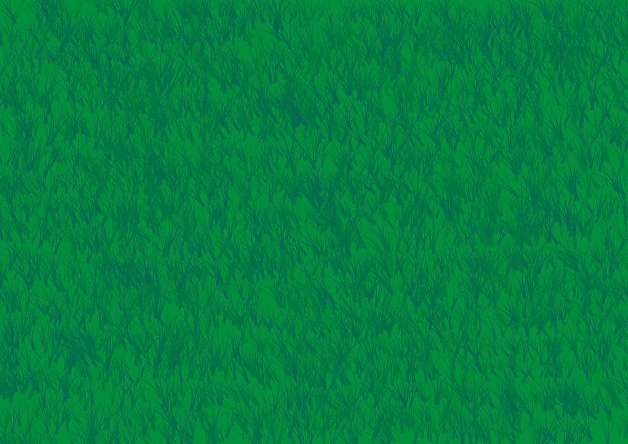 модел, трева, зелен, ливада