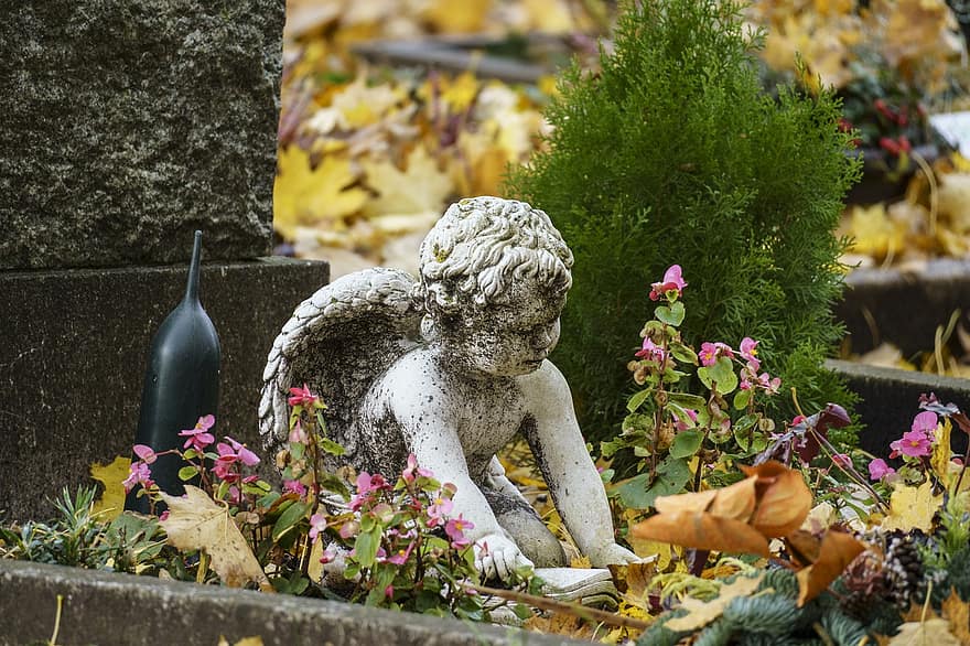 цвинтар, гробниця, статуя ангела, ангельська скульптура