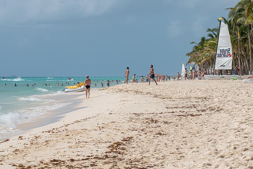 ビーチ、トロピカル、カリブ海、ヤシの木、旅行、休暇、夏、砂、水、くつろぎ、旅行先