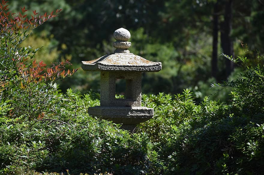 Japoński ogród, ornament ogrodowy, Japońskie ozdoby ogrodowe, herman park, Houston, texas, las, Las deszczowy, drzewo, zielony kolor, kultury