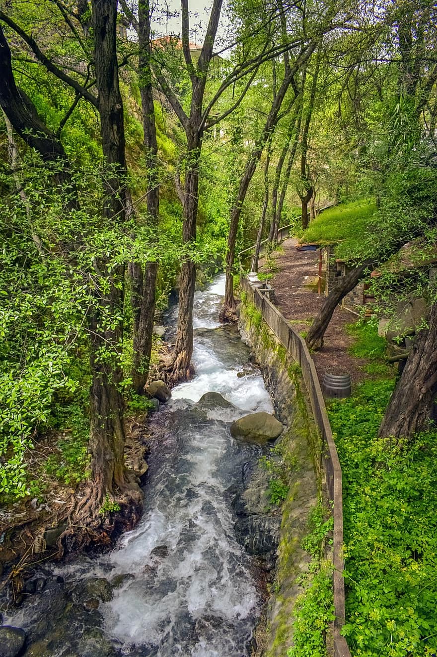 река, поток, дървета, гора, ручей, природа, Какопетрия, дърво, зелен цвят, пейзаж, вода
