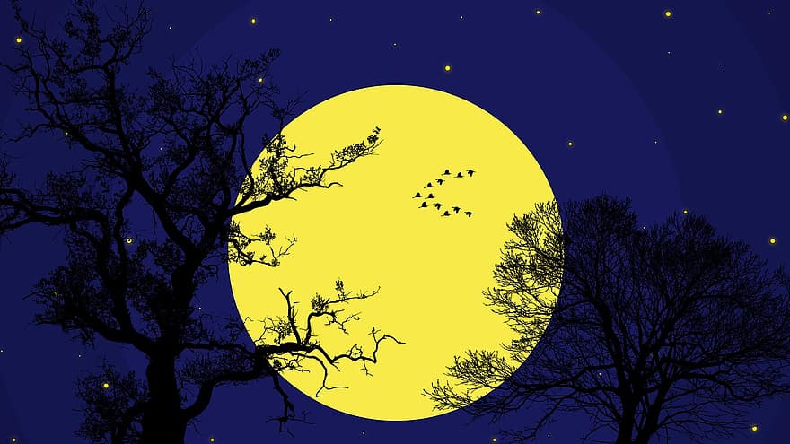 noc, dziki, Natura, księżyc, krajobraz, niebo, niebieski, ciemny, dzikiej przyrody