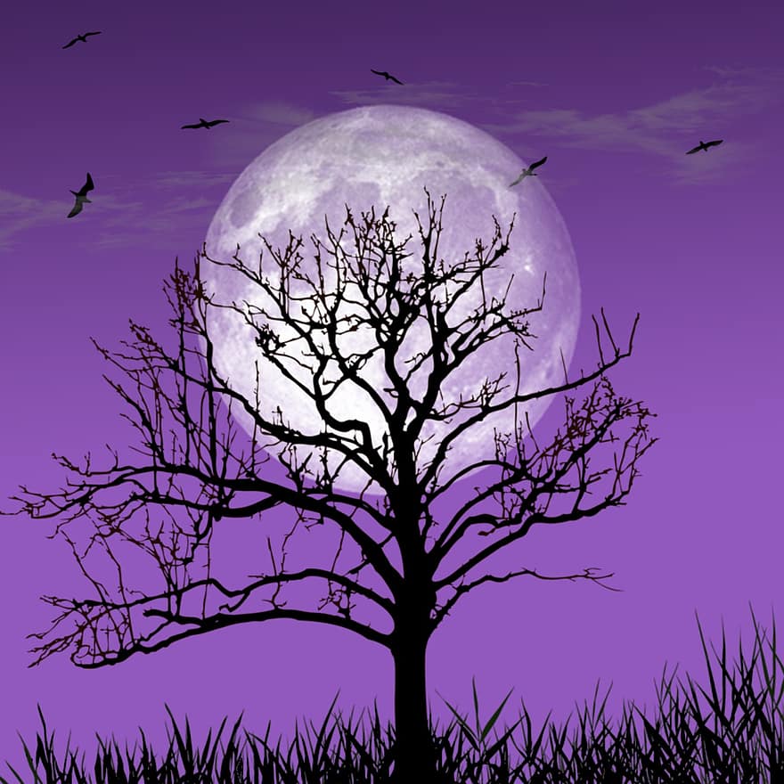 måne, natt, himmel, fåglar, träd, gräs, silhuett, mystisk, magisk, natur, landskap