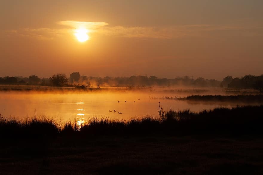 Lake, Fog, Mist, Sunrise, Grass, Haze, Evening, Cold, Frosty, Misty, Riverbank