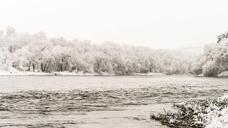 Fluss, Winter, Nebel, Bank, Bäume, Raureif, Schnee, Eis, gefroren, Frost, kalt