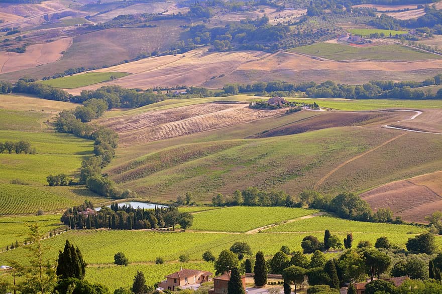 des de dalt, turó, Toscana, prato, paisatge, naturalesa, agricultura, escènic